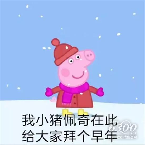 如何確保挖掘機安全過年