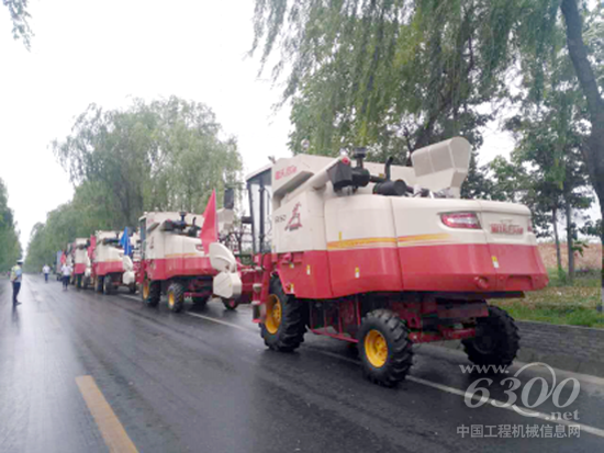 圖片新聞：清一色雷沃谷神的陜西扶風縣曙光跨區作業隊冒雨出征182.png